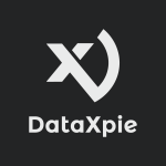 DataXpie Blog